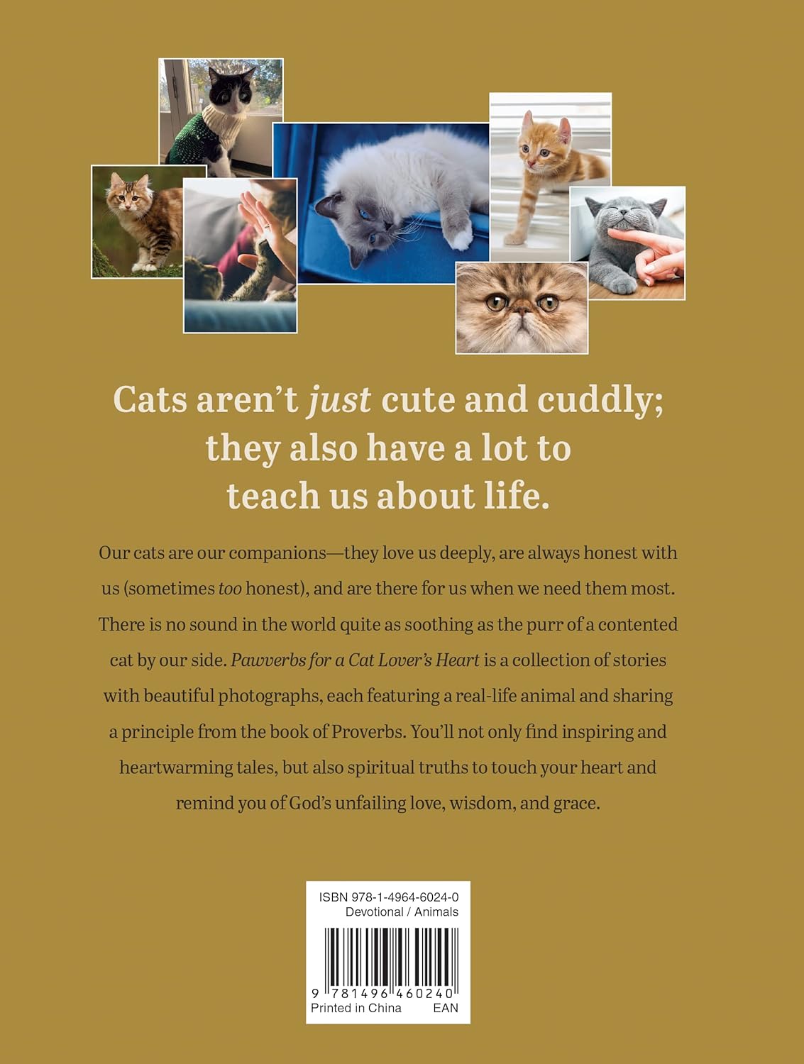 Pawverbs for a Cat Lover's Heart: Inspiring Stories of Feistiness, Friendship, and Fun