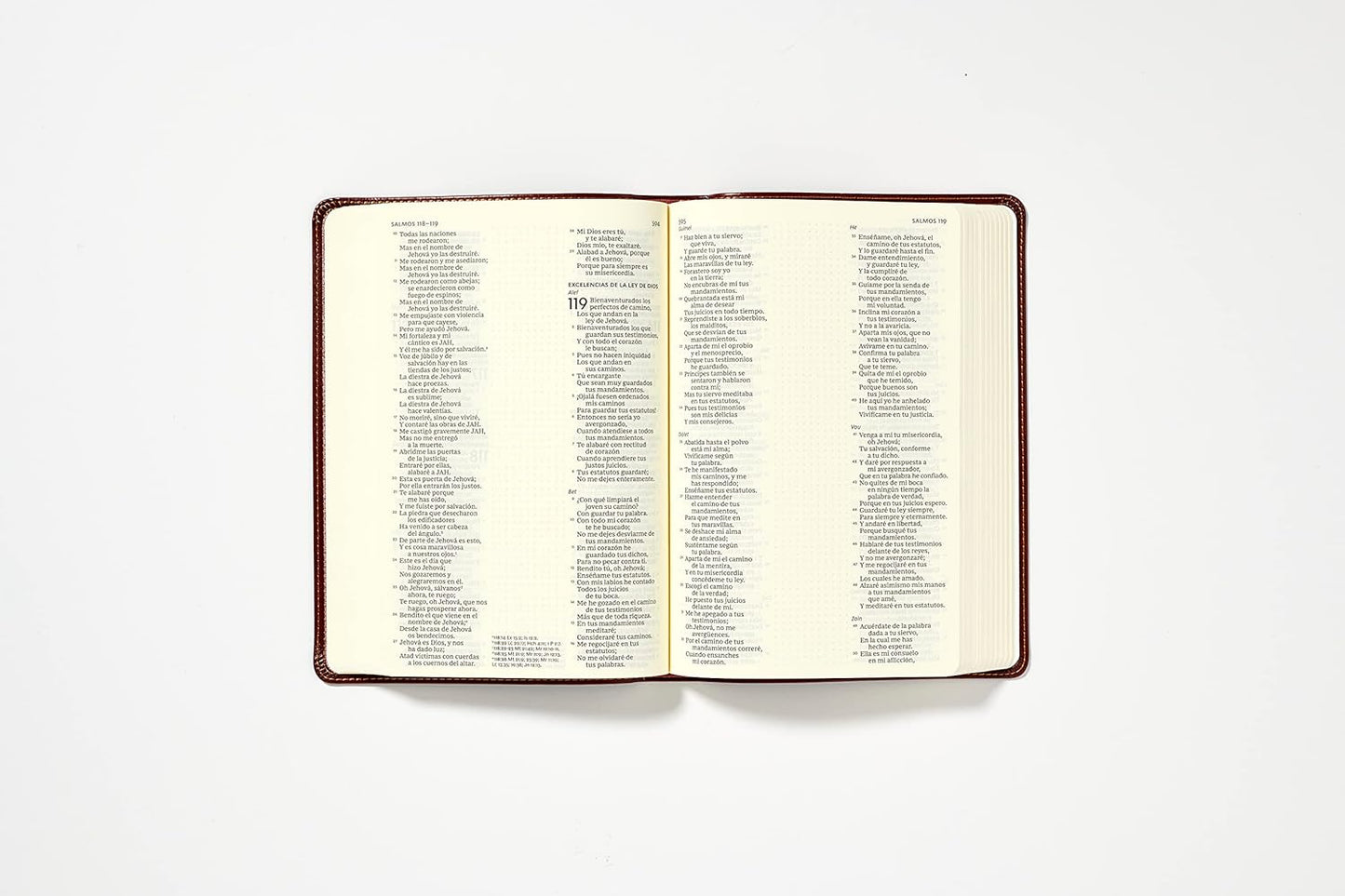 RVR60, Santa Biblia, Edición para Notas, Leathersoft, Café
