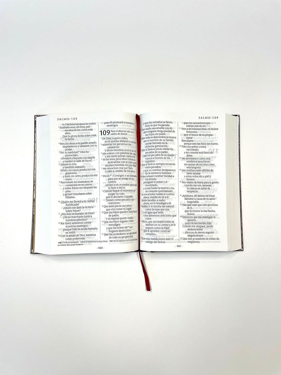 Santa Biblia NTV, letra súper gigante (Tapa dura, Vino tinto, Letra Roja) (Spanish Edition)