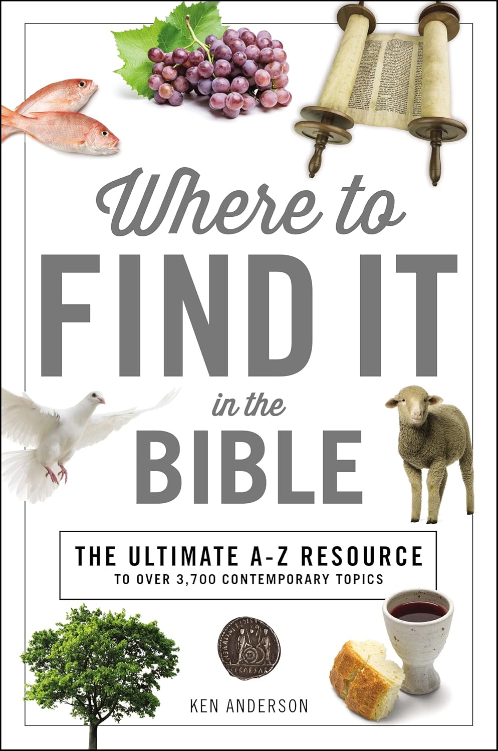 Where to Find It in the Bible: Topical Index for Quick-and-Easy Reference (A to Z Series)