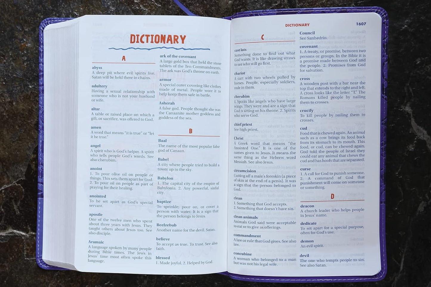 NIrV, Kids' Quest Study Bible, Leathersoft, Blue: Answers to over 500 Questions about the Bible