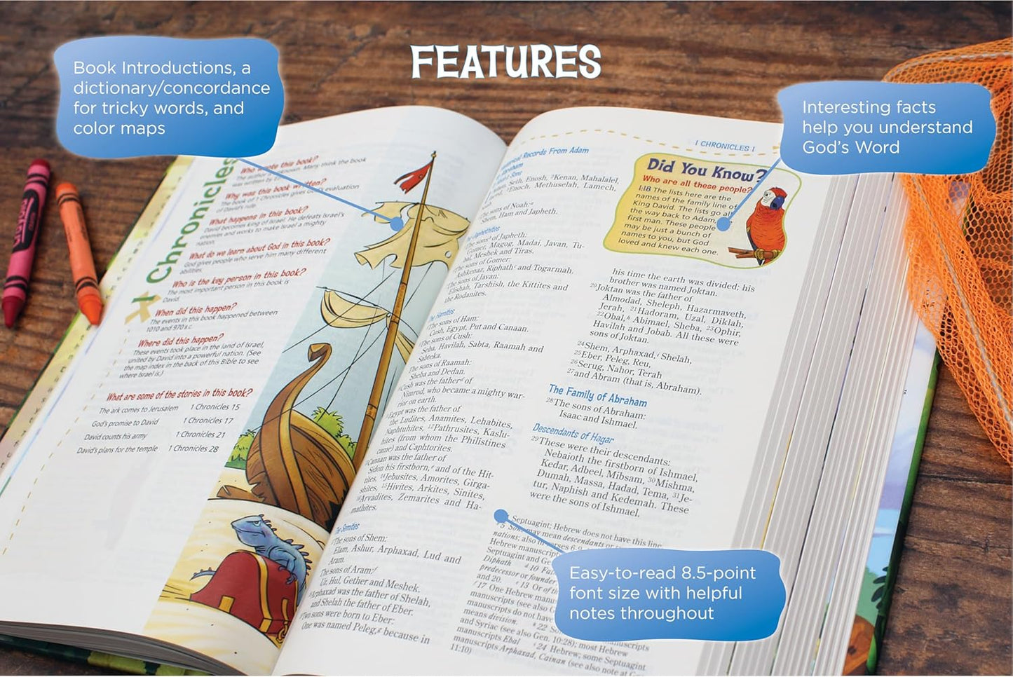 NIV Adventure Bible, Italian Duo-Tone, Chocolate/Toffee