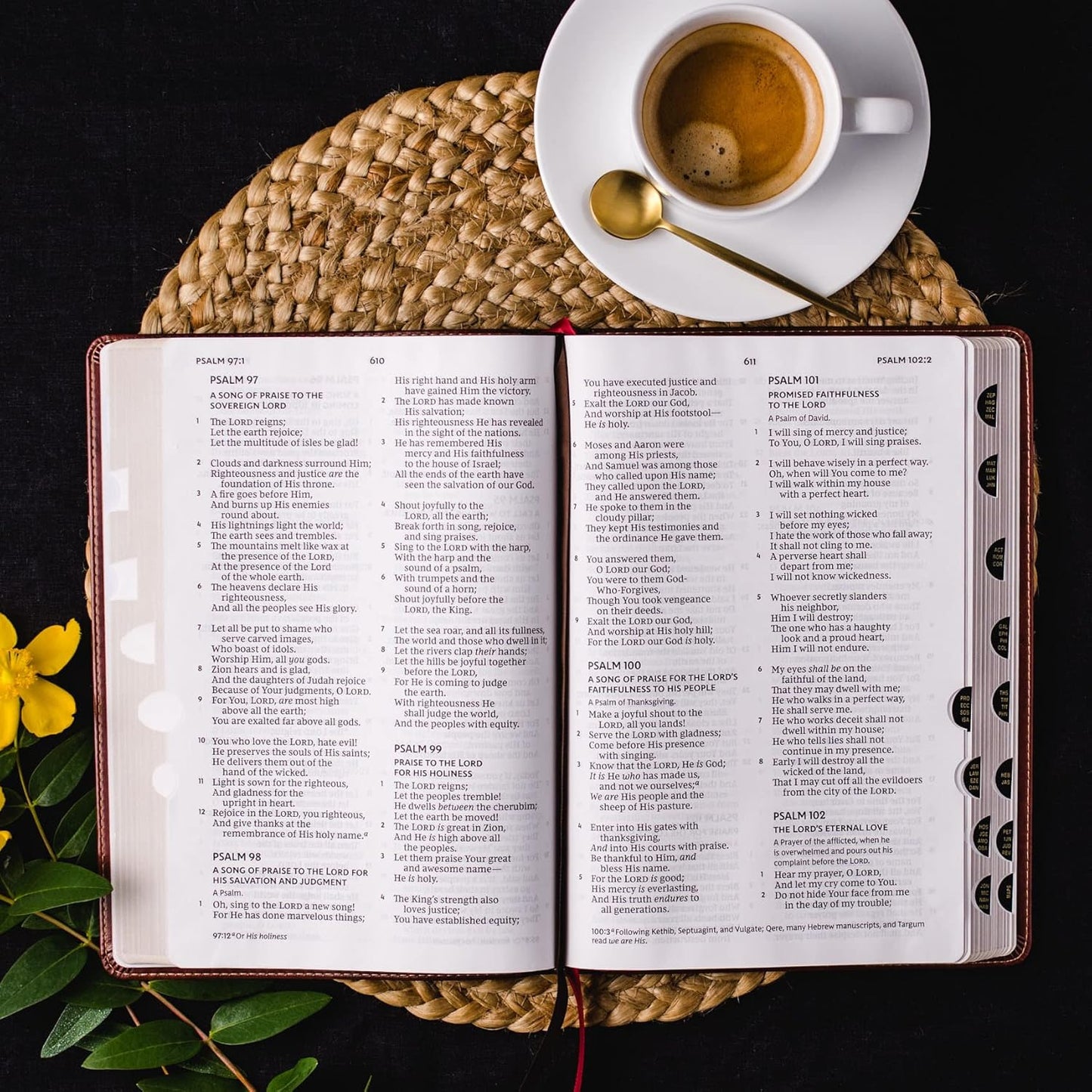NKJV Thinline Bible/Giant Print (Comfort Print)-Brown Leathersoft Indexed