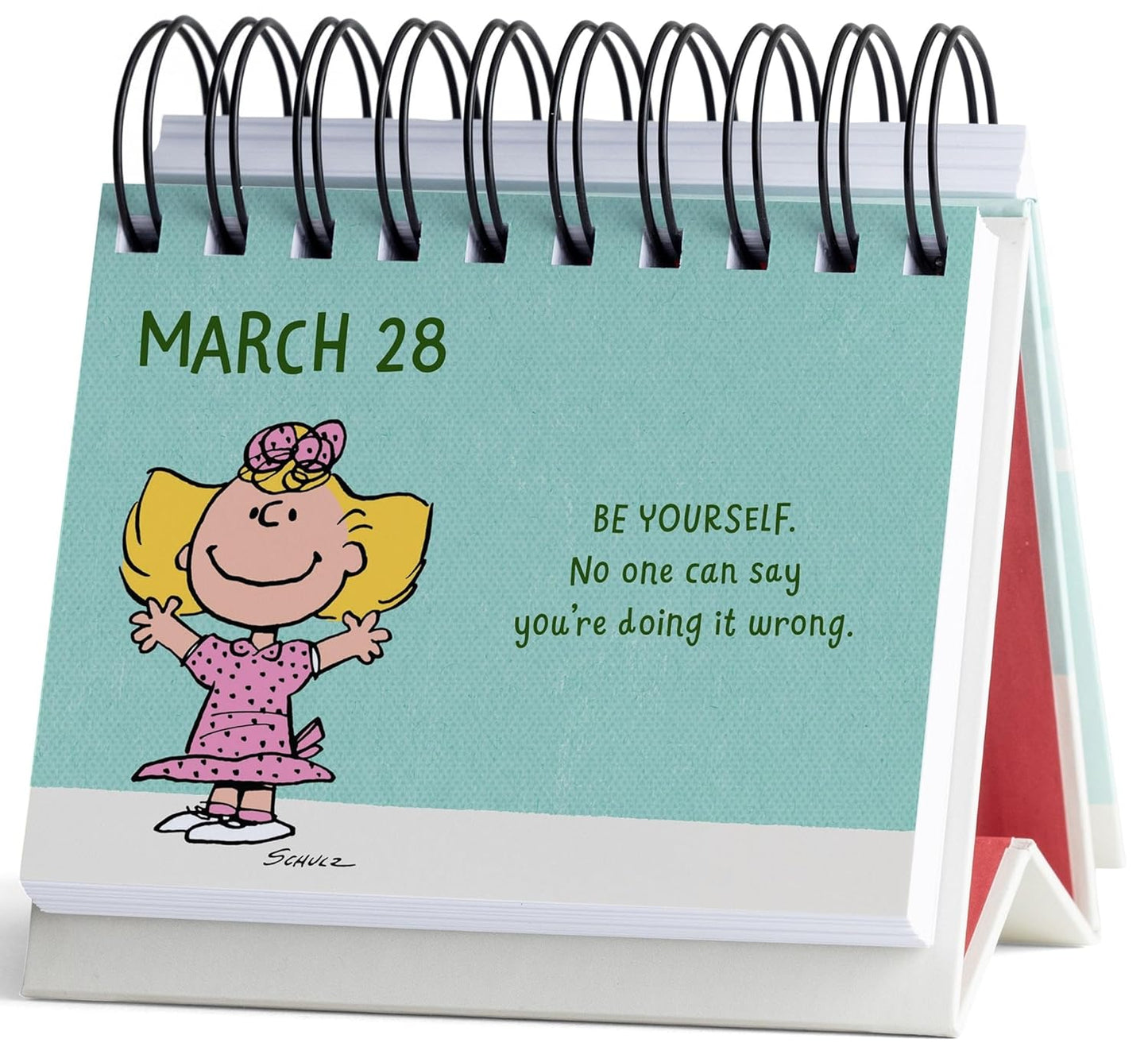 Peanuts Happiness Is: A DaySpring Inspirational DayBrightener