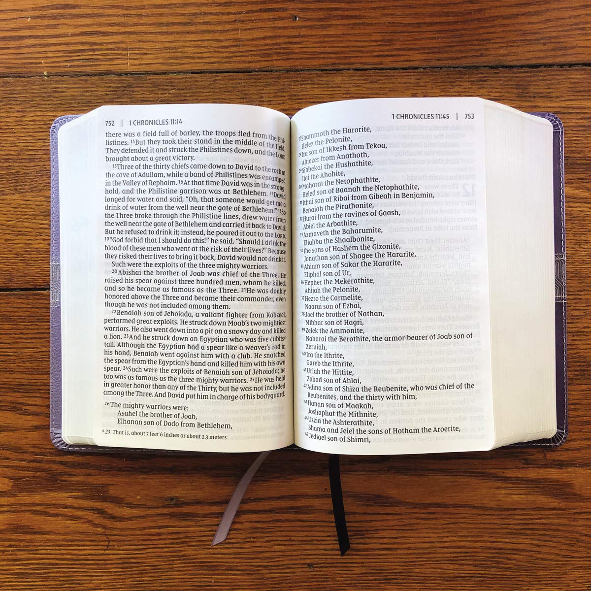 NIV, Giant Print Compact Bible, Leathersoft, Purple, Red Letter, Comfort Print