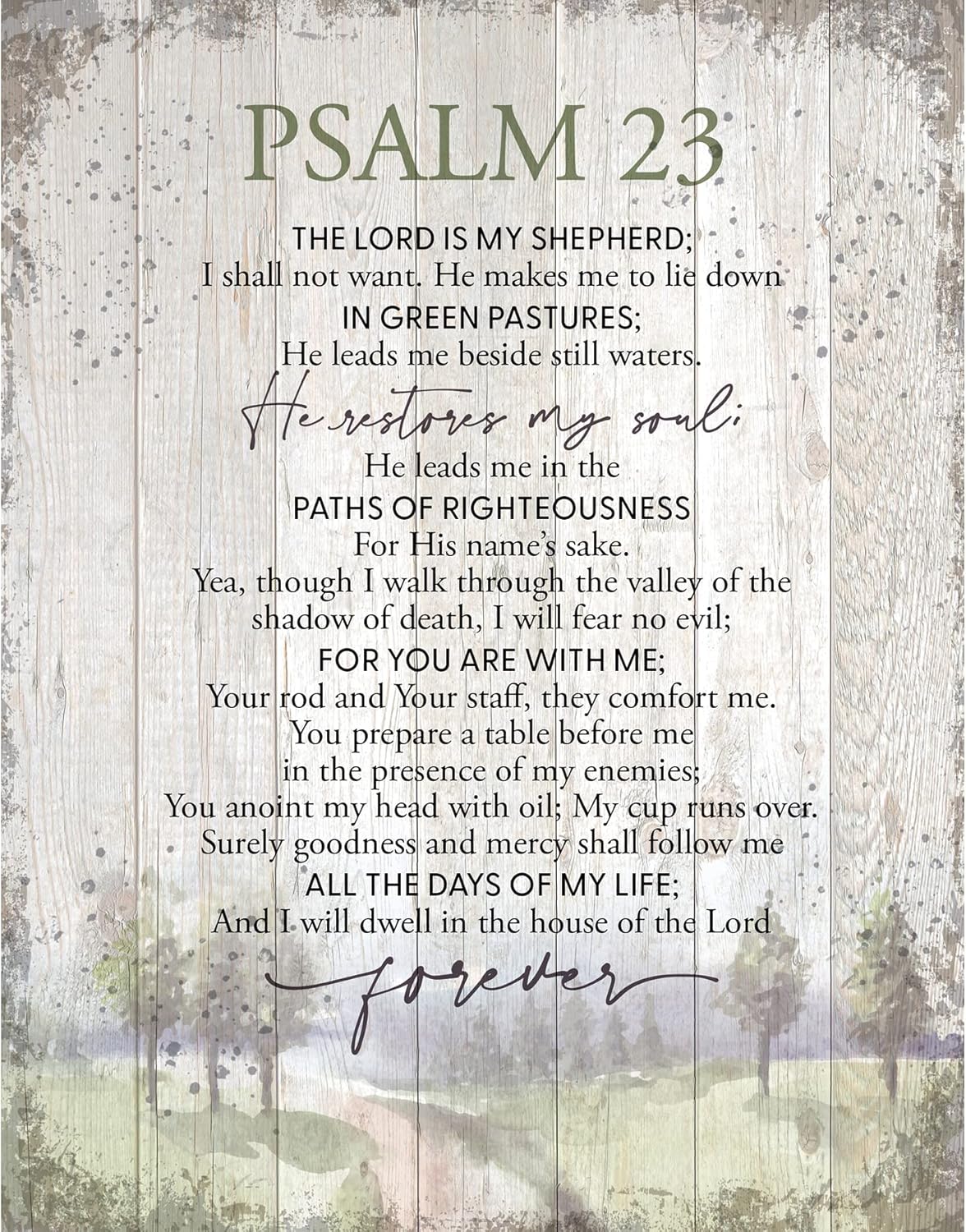 Psalm 23 Wood Plaque Inspiring Quote 11.75 in x 15 in