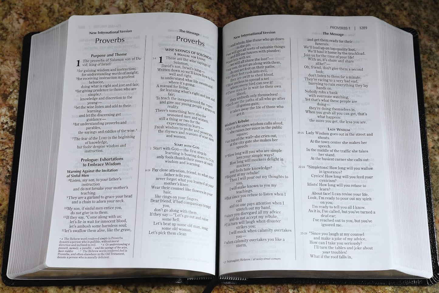 NIV, The Message, Parallel Bible, Large Print, Bonded Leather, Black