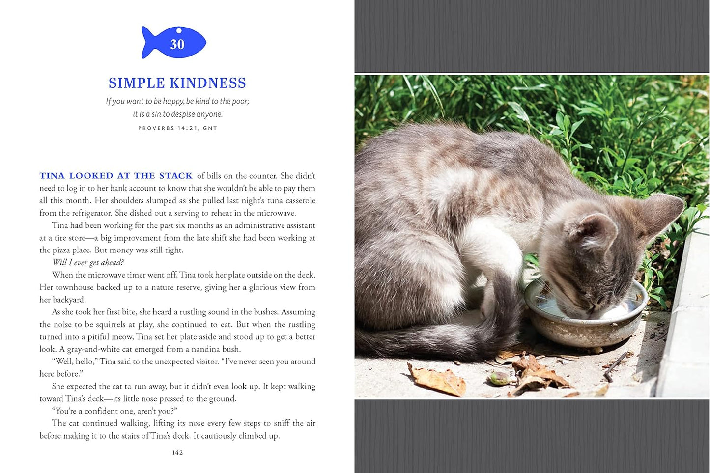 Pawverbs for a Cat Lover's Heart: Inspiring Stories of Feistiness, Friendship, and Fun