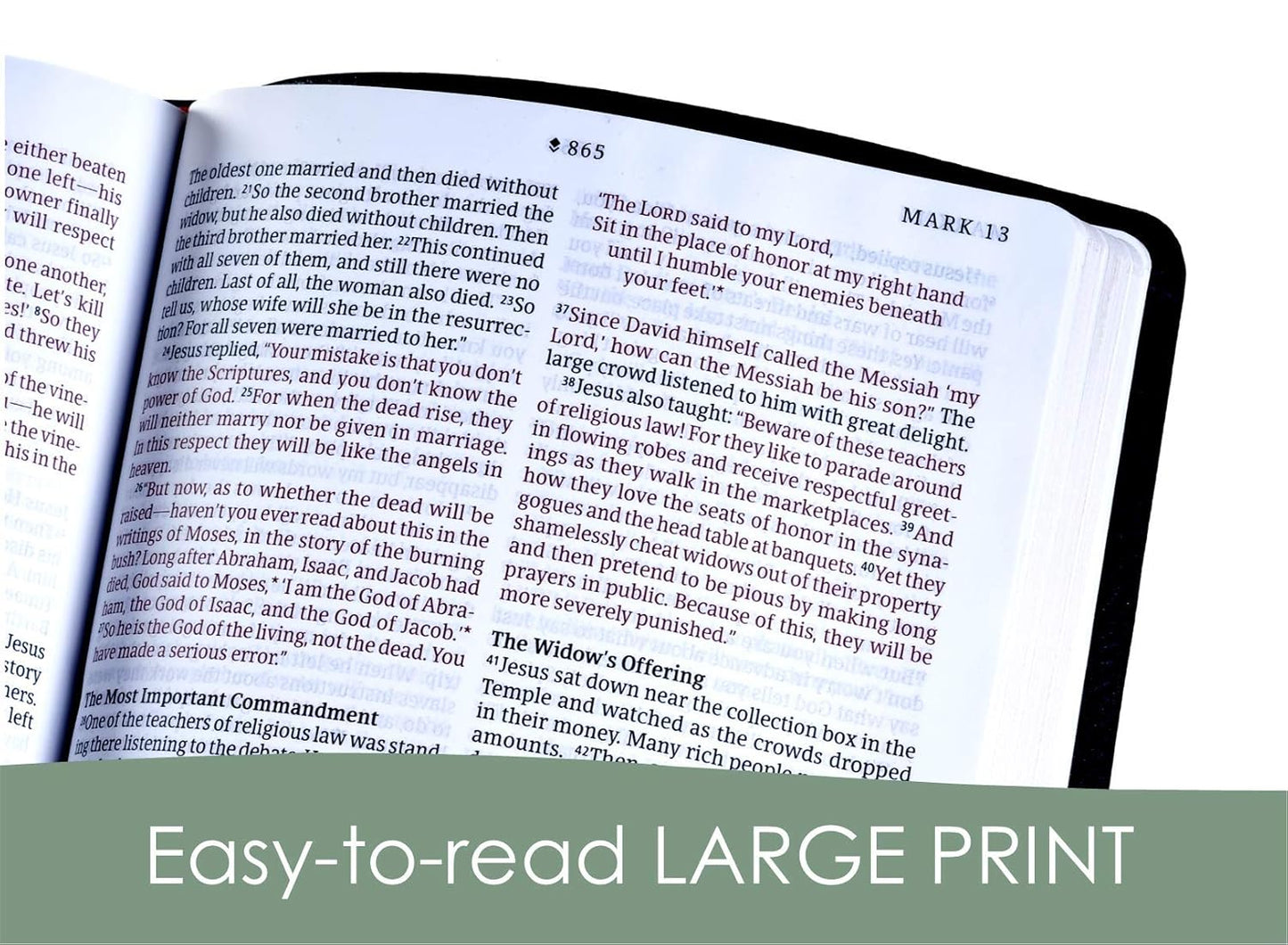 NLT Large Print Thinline Reference Bible, Filament Enabled (LeatherLike, Cross Grip Black, Red Letter)
