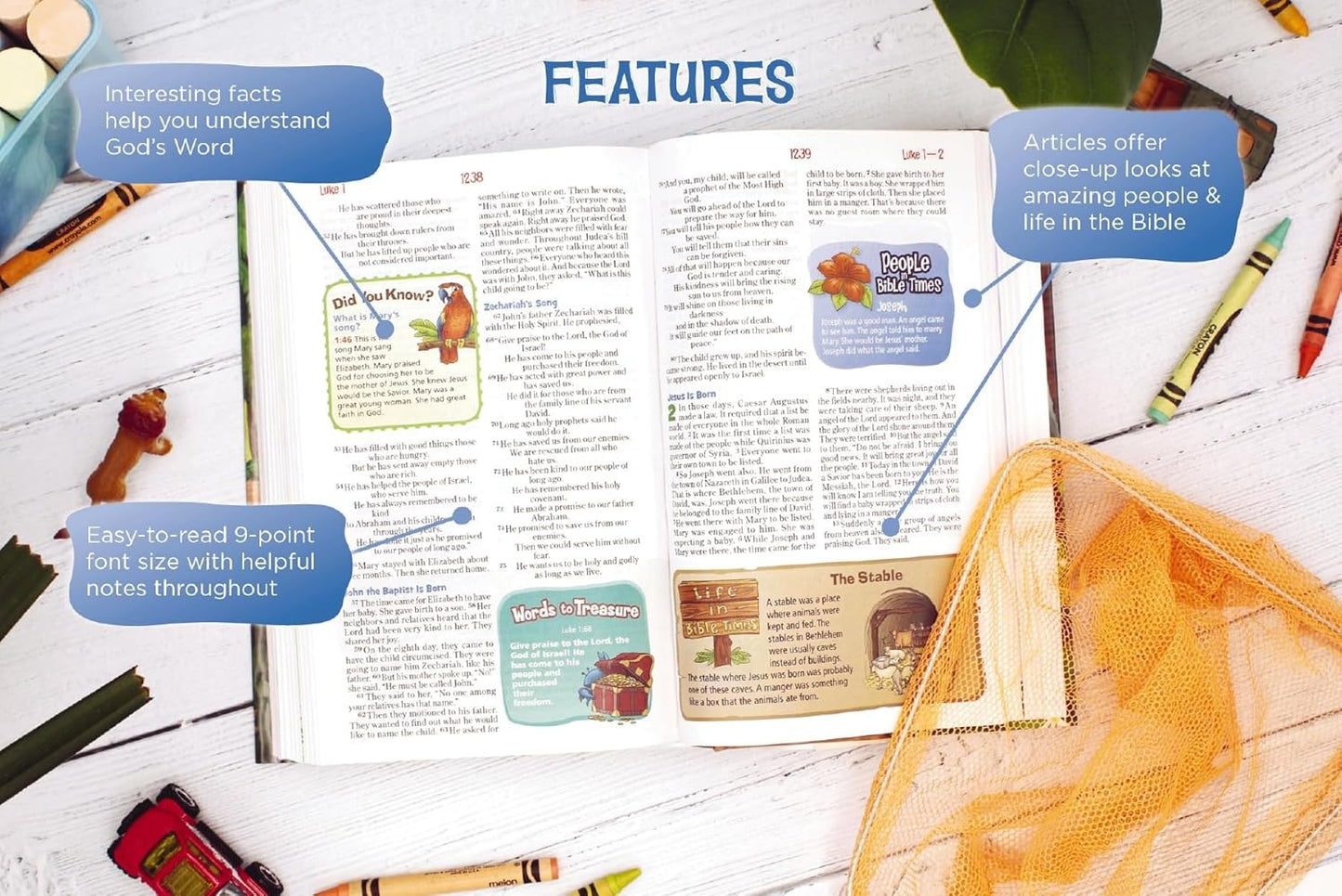 NIrV, Adventure Bible for Early Readers, Leathersoft, Purple, Full Color