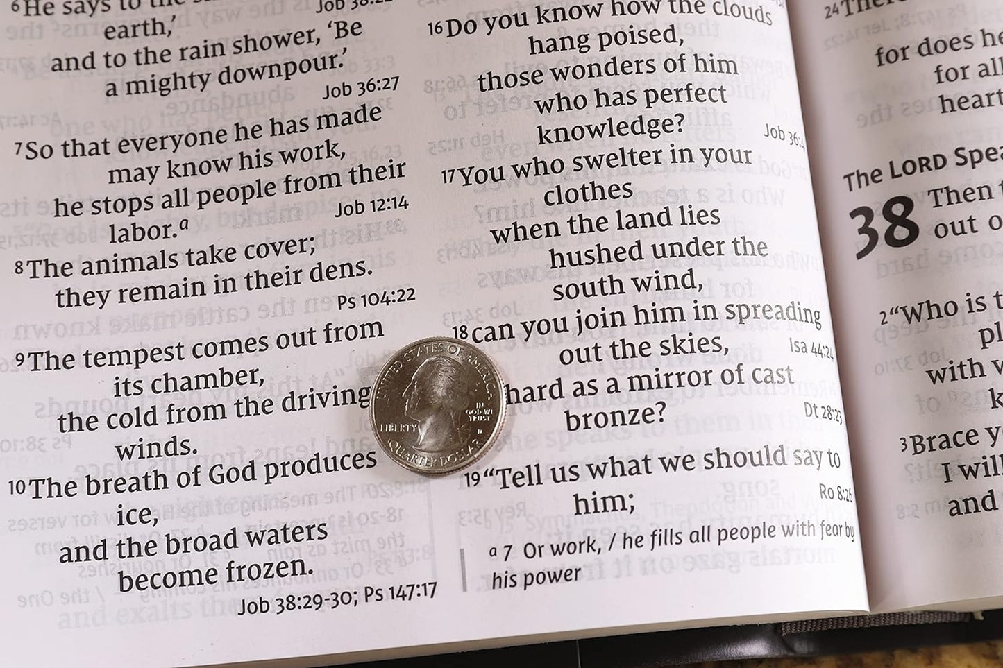 NIV, Super Giant Print Reference Bible, Leathersoft, Gray