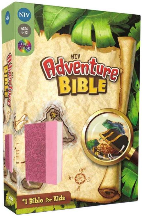 NIV Adventure Bible (Full Color)-Raspberry/Pink Duo-Tone