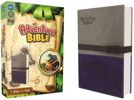 NIV Adventure Bible, Italian Duo-Tone, Clip Closure, Gray/Blue