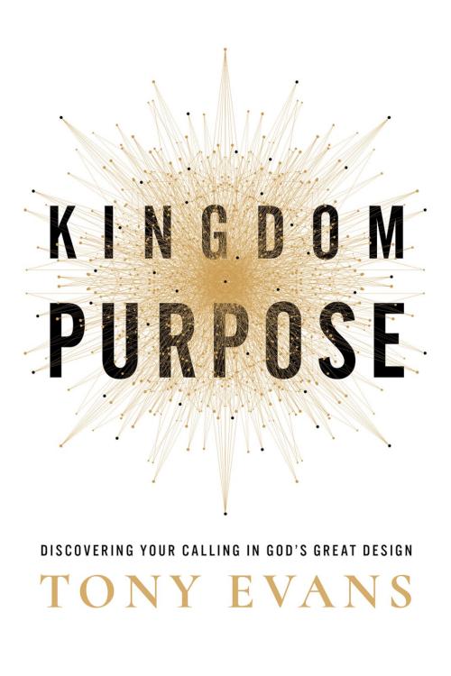 Kingdom Purpose: Discovering Your Calling in God’s Great Design