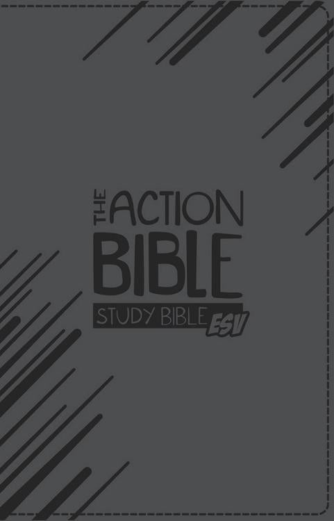ESV Action Study Bible Boys, Virtual Leather, Slate Gray