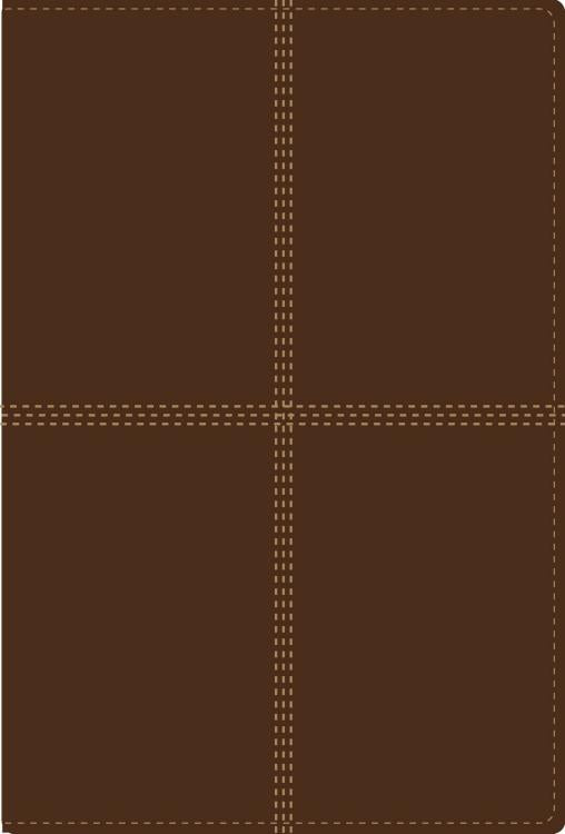 NIV/RVR60, Bilingual Bible, Leathersoft, Brown / NIV/RVR60, Biblia Bilingüe, Leathersoft, Café (Spanish Edition)