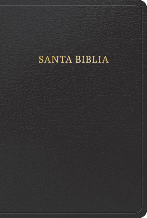 RVR 1960 Biblia letra grande tam. manual, negro, imit. piel con indice (Hand Size Giant Print Bible, Black Indexed)