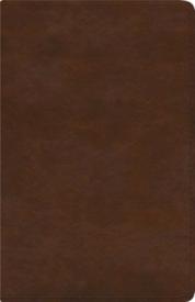 ESV Spanish/English Parallel Bible--soft leather-look, brown