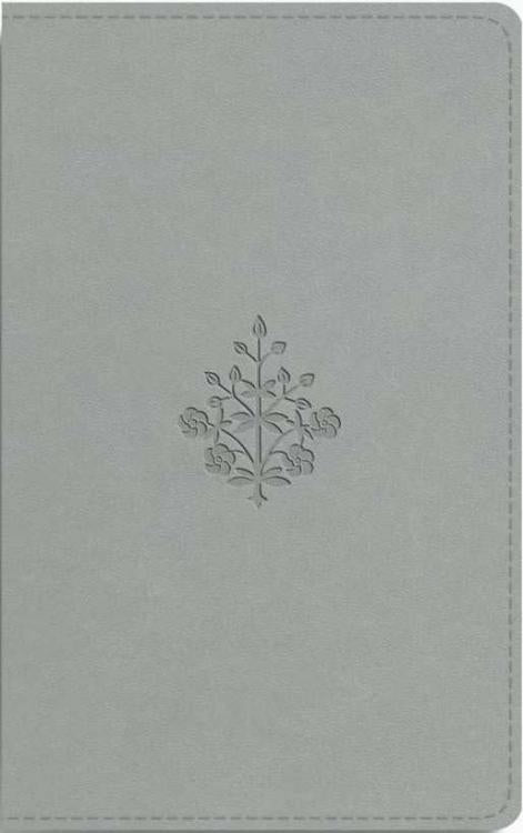 ESV Large Print Value Thinline Bible--imitation leather, river stone