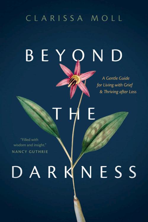 Beyond the Darkness: A Gentle Guide for Living with Grief and Thriving after Loss by Clarissa Moll