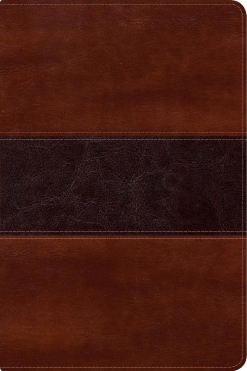 Reina Valera 1960 Biblia del Pescador, letra grande, caoba símil piel
