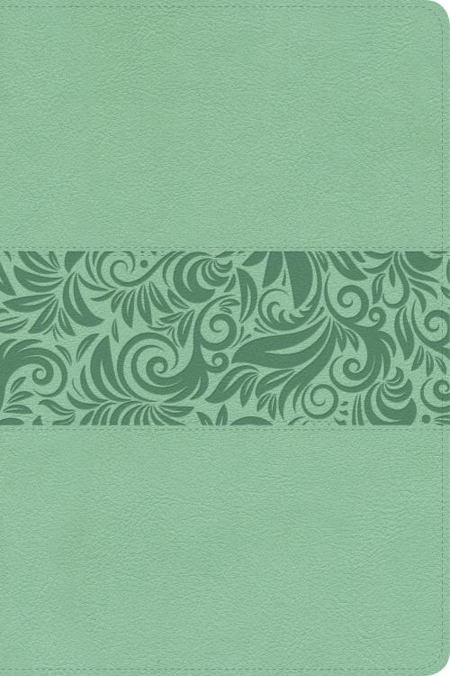 Biblia Reina Valera 1960 para Regalos y Premios. Símil piel, turquesa | RVR 1960 Gift and Award Holy Bible, LeatherTouch, Turquoise (Spanish Edition) - Hardcover