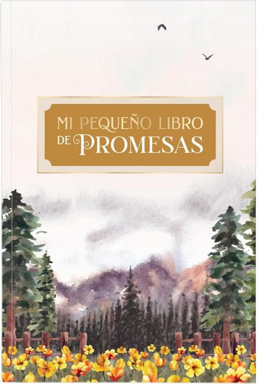 Mi Pequeno Libro De Promesas (My Little Promise Book)