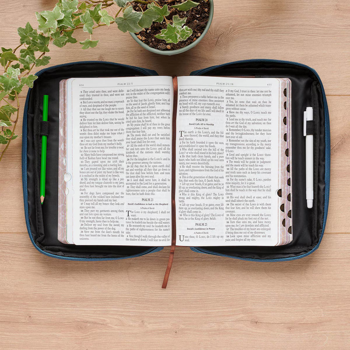 Adventure with Jesus Teal and Orange Fashion Bible Cover - Psalm 16:11, Medium