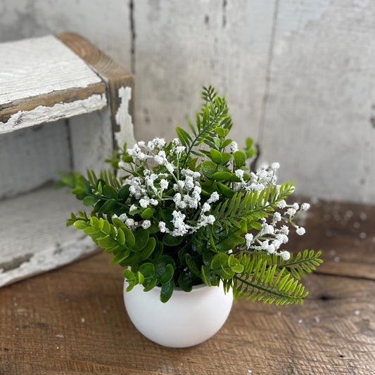 White Flowers in White Ceramic Pot