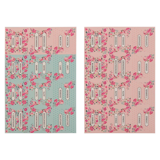 Pink and Blue Old and New Testament Bible Indexing Tabs