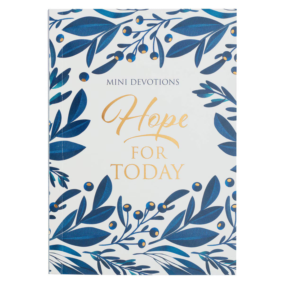 Hope for Today Mini Devotional by Jimi Le Roux