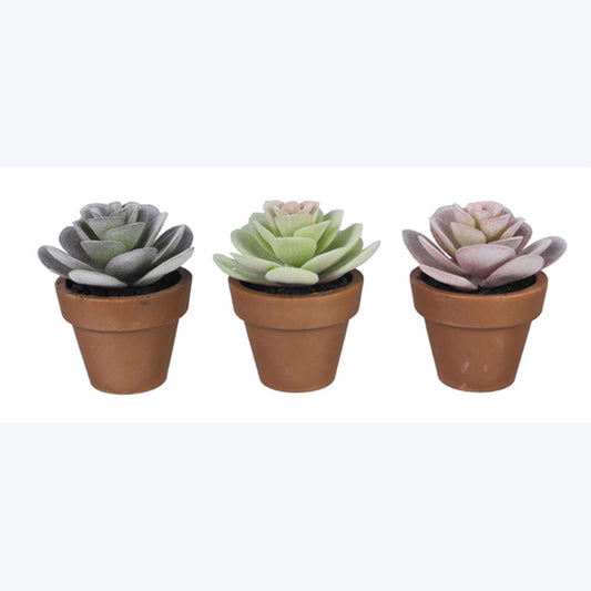 Artificial Succulent In Plastic Pot, 3 Ast.