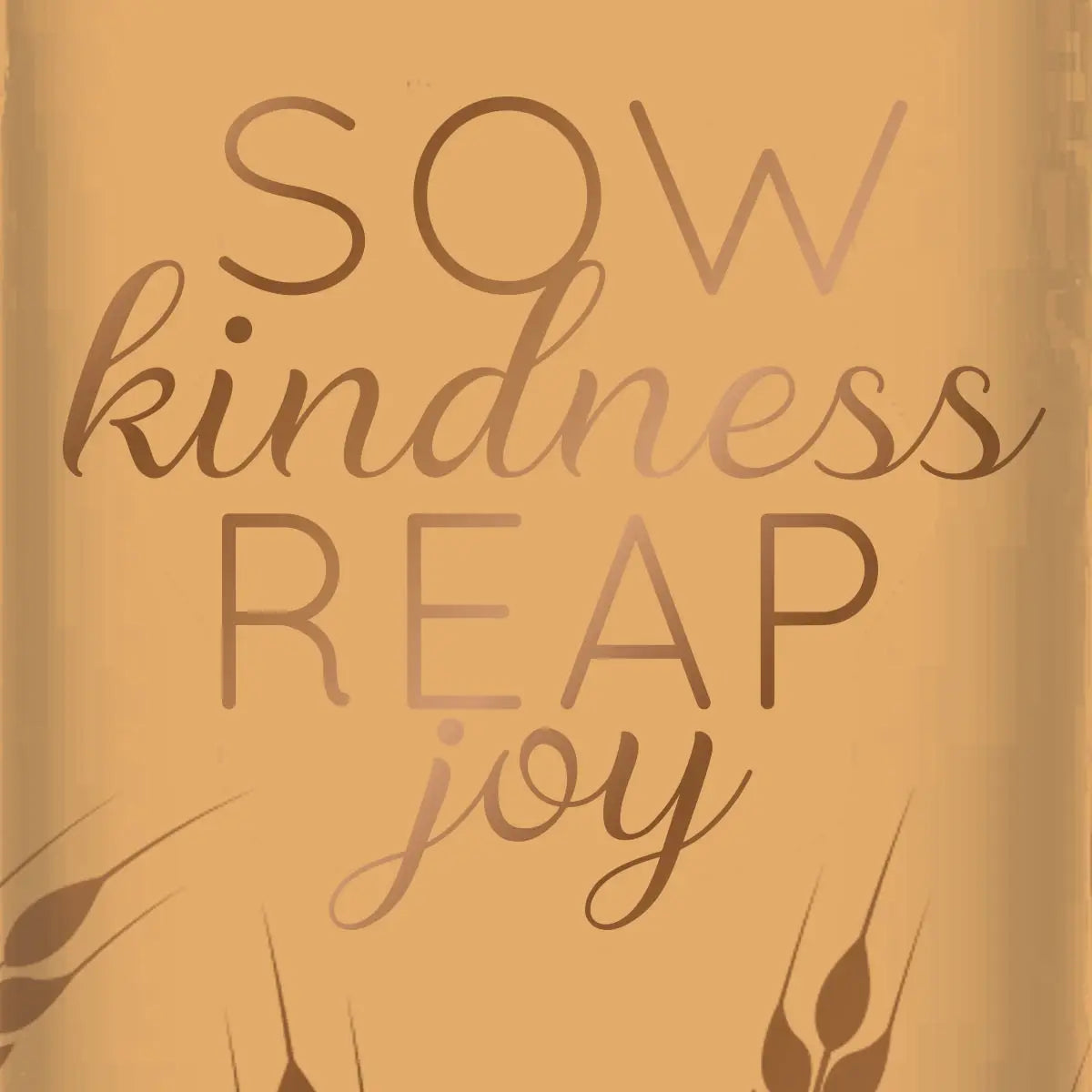 Kerusso 30 oz Stainless Steel Mug with Straw Sow Kindness