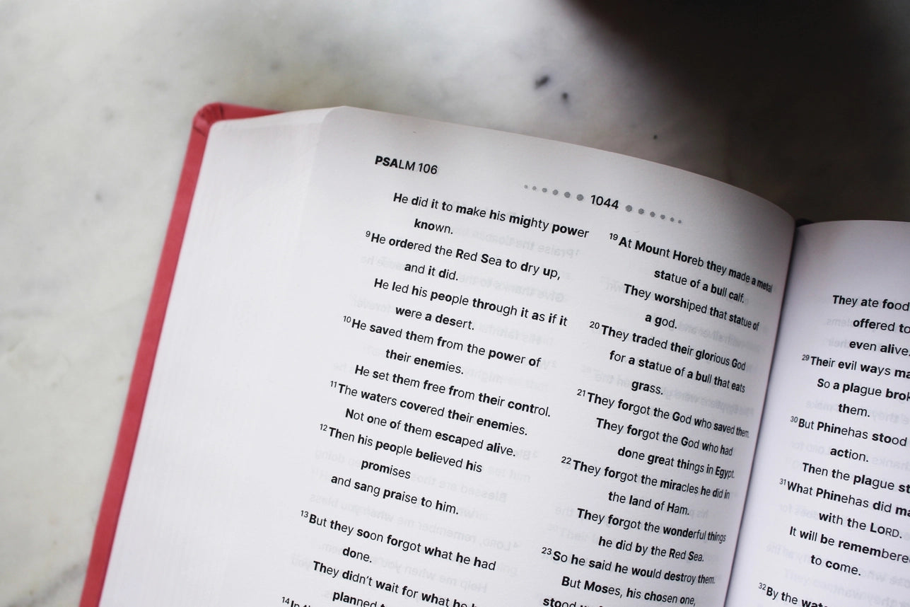 Nirv, Clear Focus Bible For Kids, Leathersoft