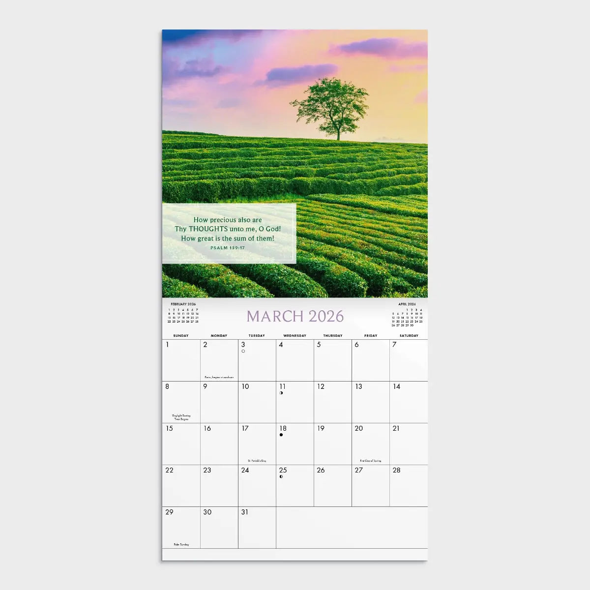 Psalms - King James Version - 2026 Inspirational Wall Calendar