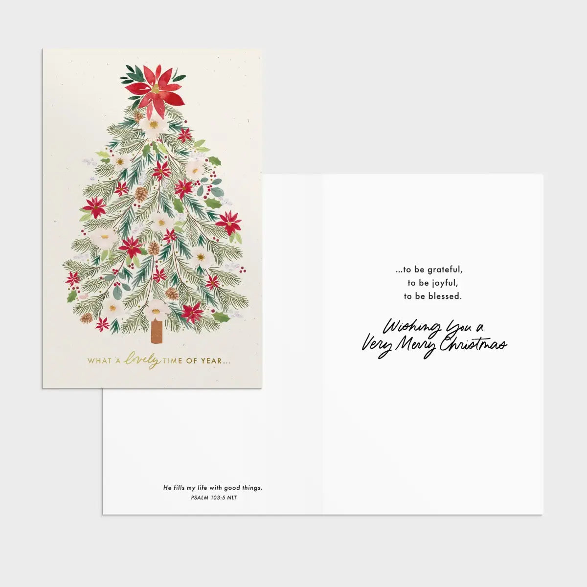 Studio 71 - Be Merry + Blessed - 18 Assorted Christmas Boxed Cards and Envelopes